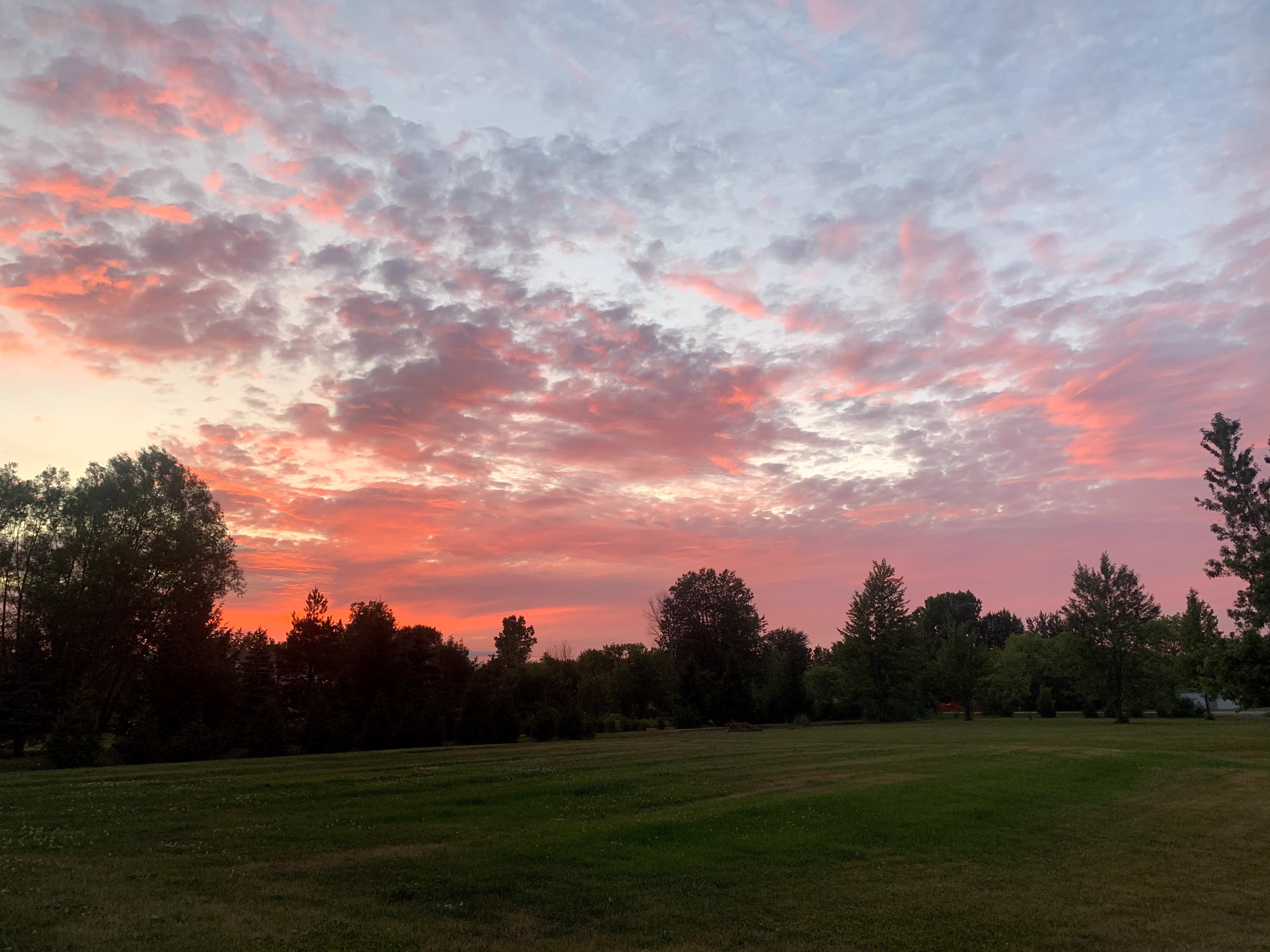 Reshing View why are we obsessed with the rearview of things? – a dash of ash